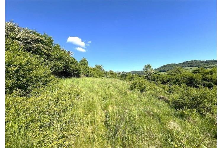 zem. poz. Oprechtice Pejsar č.12.JPG