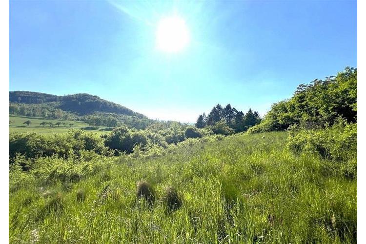 zem. poz. Oprechtice Pejsar č.13.JPG