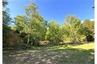 zem. poz. Oprechtice Pejsar č.19.JPG