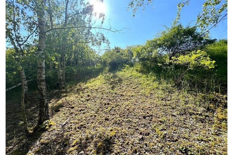 zem. poz. Oprechtice Pejsar č.17.JPG