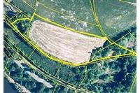 zem. poz. Oprechtice Pejsar č.221.JPG