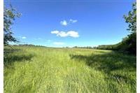 zem. poz. Oprechtice Pejsar č.4.JPG