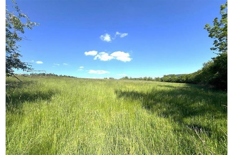 zem. poz. Oprechtice Pejsar č.4.JPG